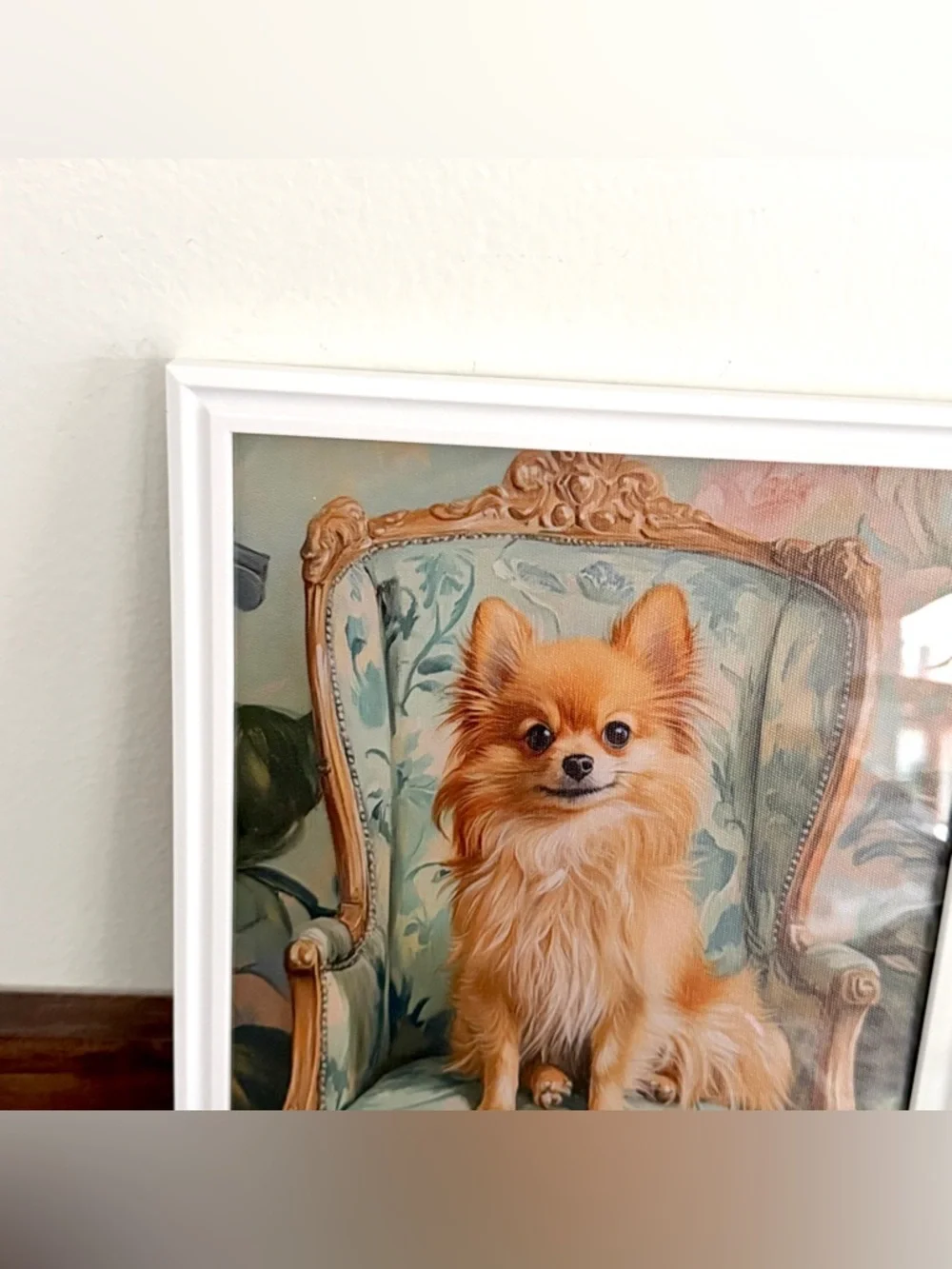 N/A fancy pomeranian